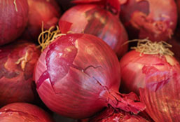 免费短信轰炸机试用