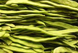 快速启动程序的在线电话平台