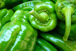 数据保密严格的外呼系统