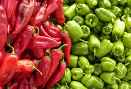 谁知道哪里有的外呼系统